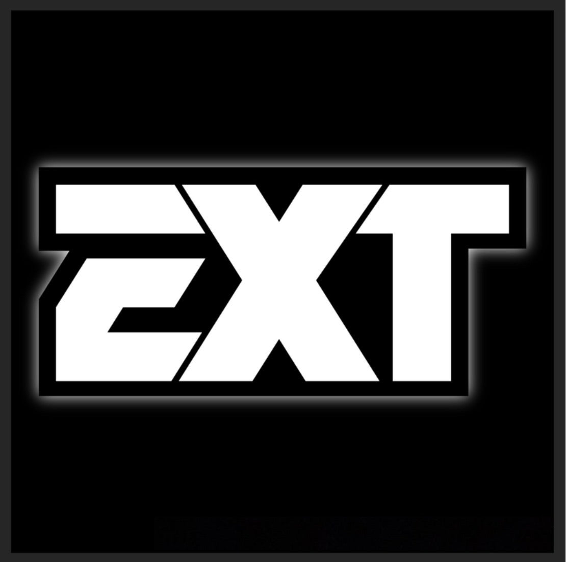 EXT Fork Decals (2x)